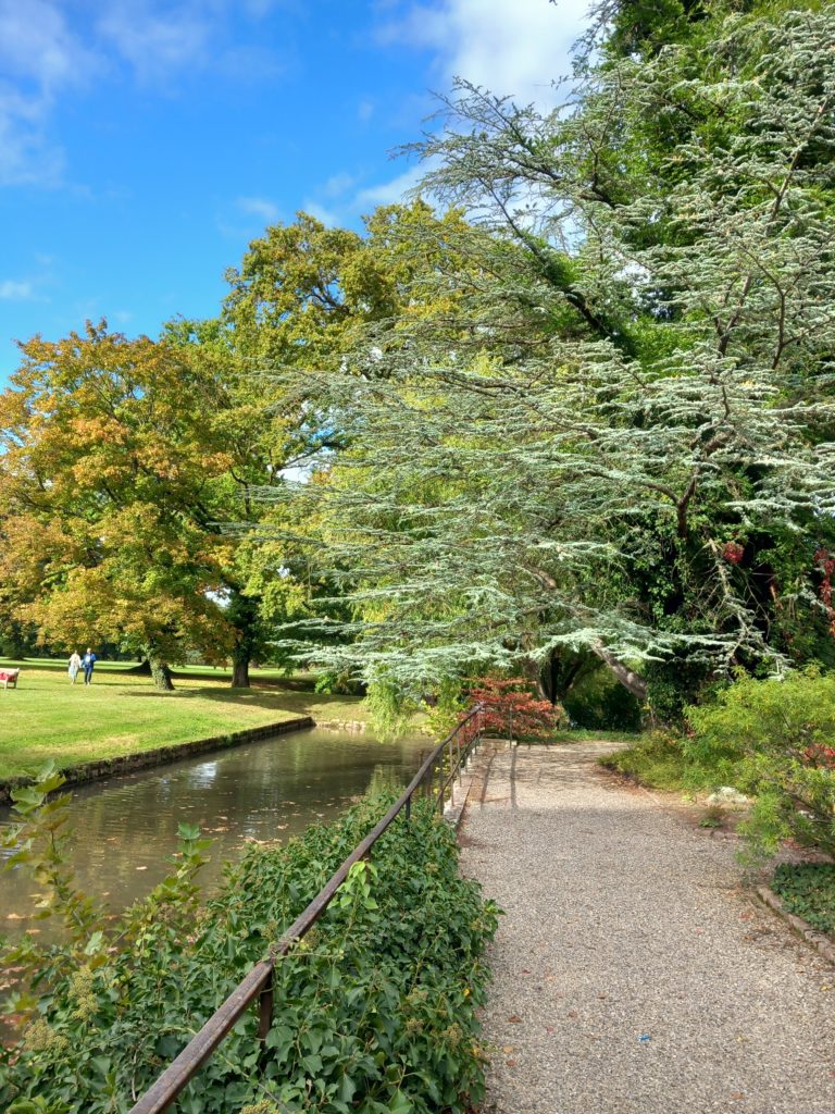 Salon du bien être MONTMOROT (39)